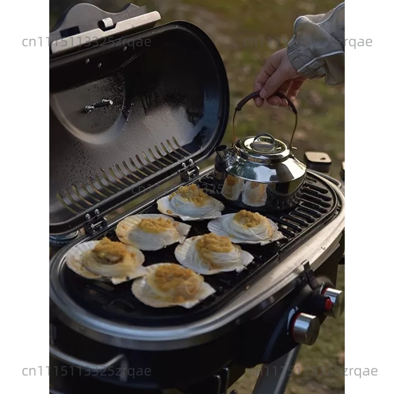 Estufa de Gas Portátil para In - Outdoor Camping Griddle reseña y precio